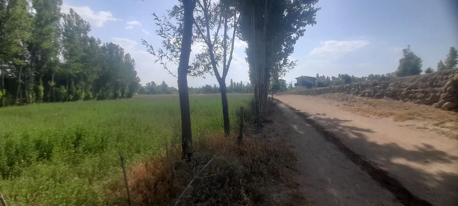 زمین در روستای نوران