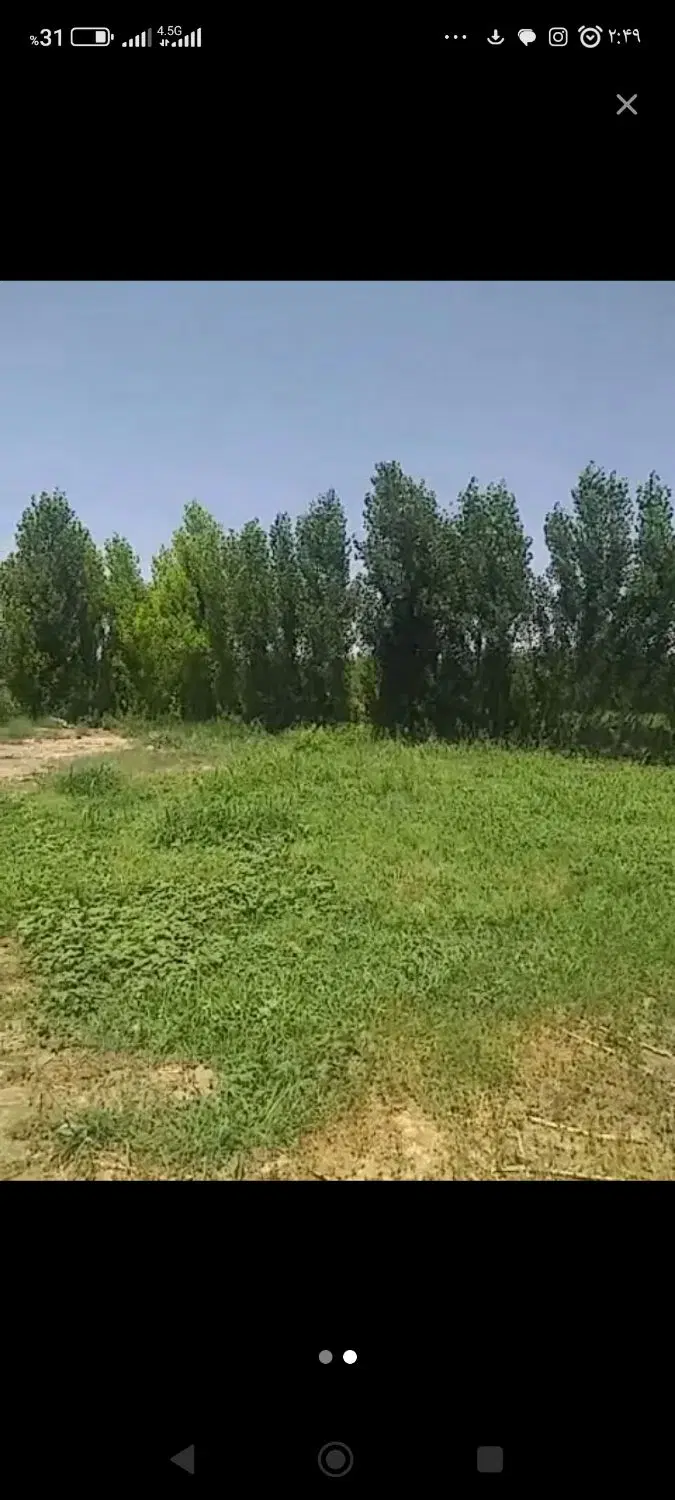 ی قعطه باغ در بهترین لوکیشن آبشینه