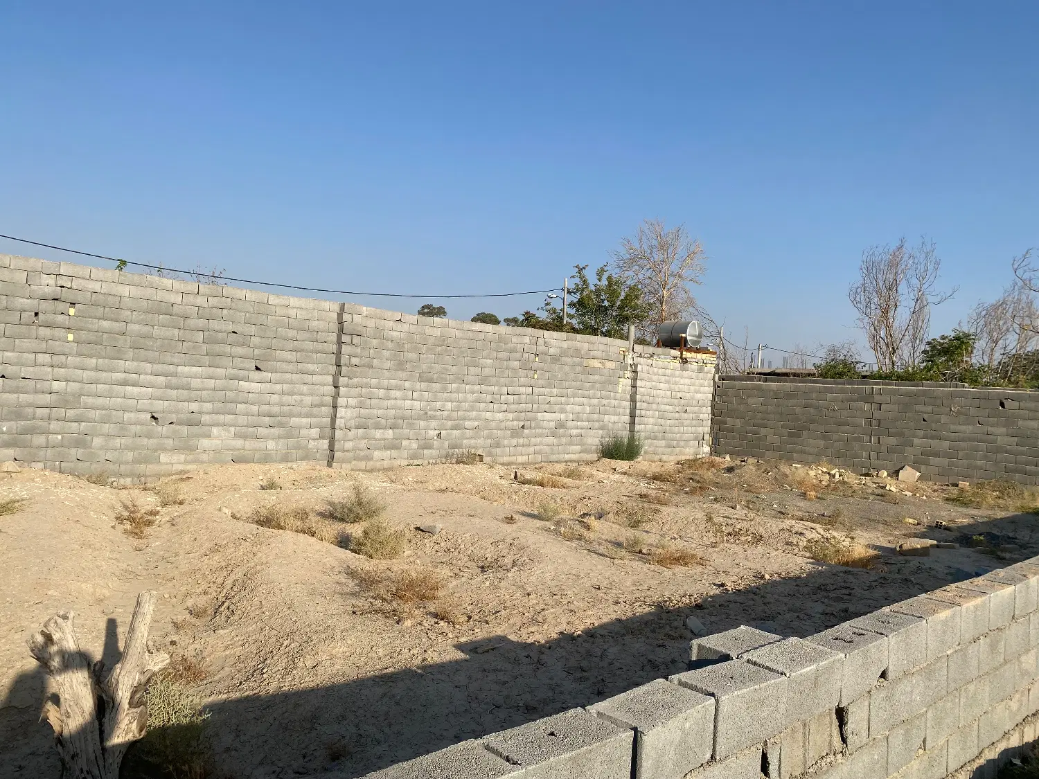 زمین باغی