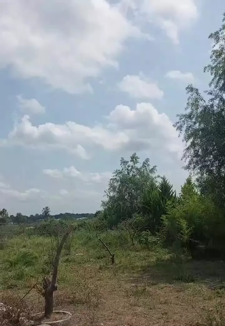 زمین شهرکی ۲۲۰متری_قابل ساخت_سند شش دانگ
