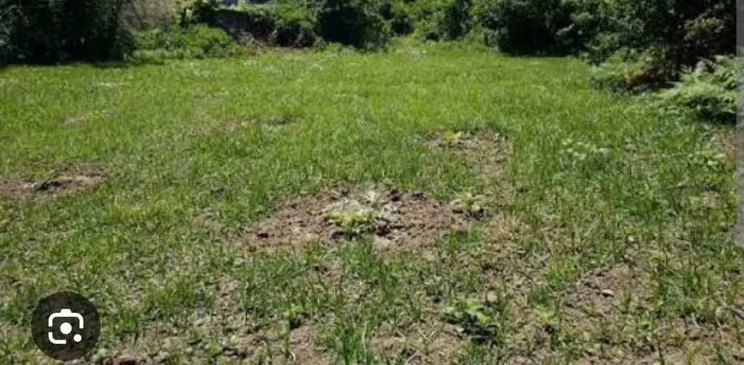 زمین ساحلی چمخاله