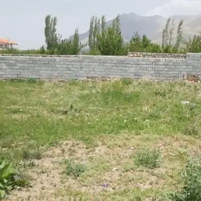 فروش زمین باغ لیمو ثمری