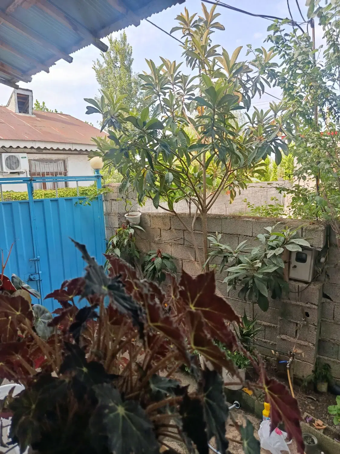 اجاره روزانه خانه ویلایی