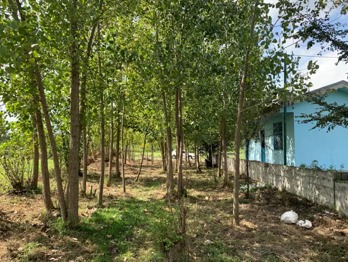 زمین باغات