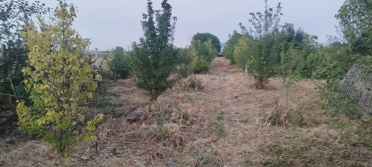 فروش باغ با متراژ ۲۷۰۰ مترمربع