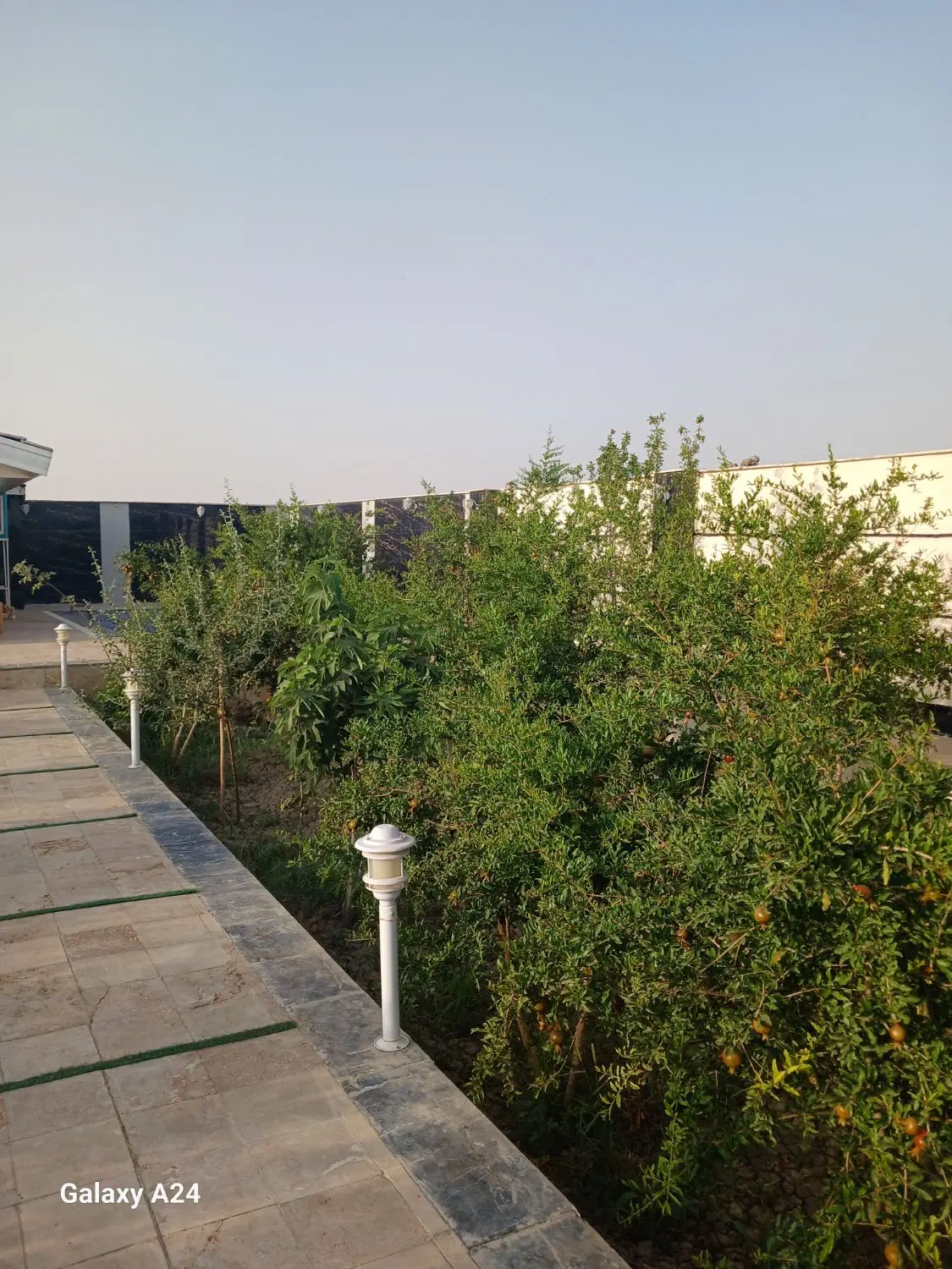 باغ شیک.جار.ایچی.مهدی آباد.