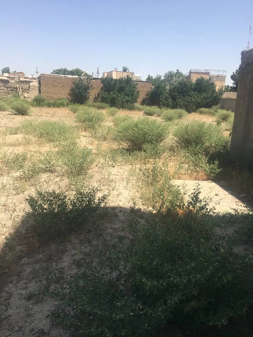 زمین در نوکند «شهرستان نظر آباد »