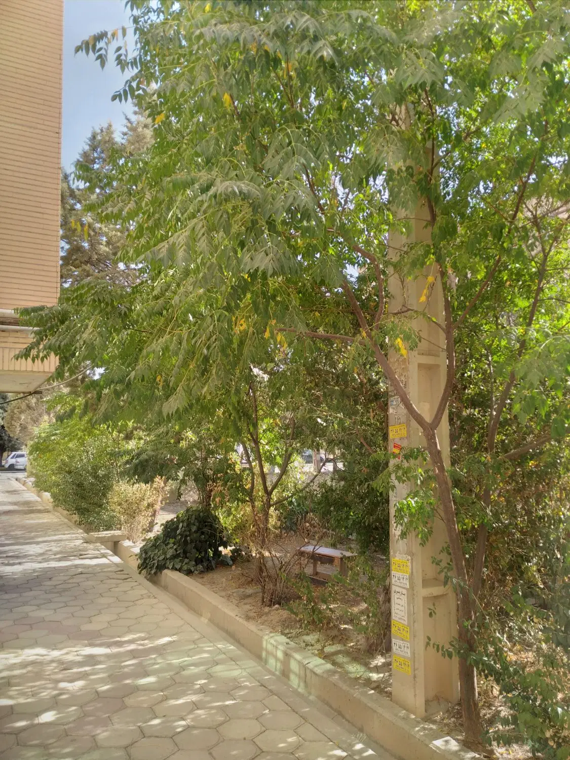 اجاره آپارتمان ۸۸ متری شهرک ناز
