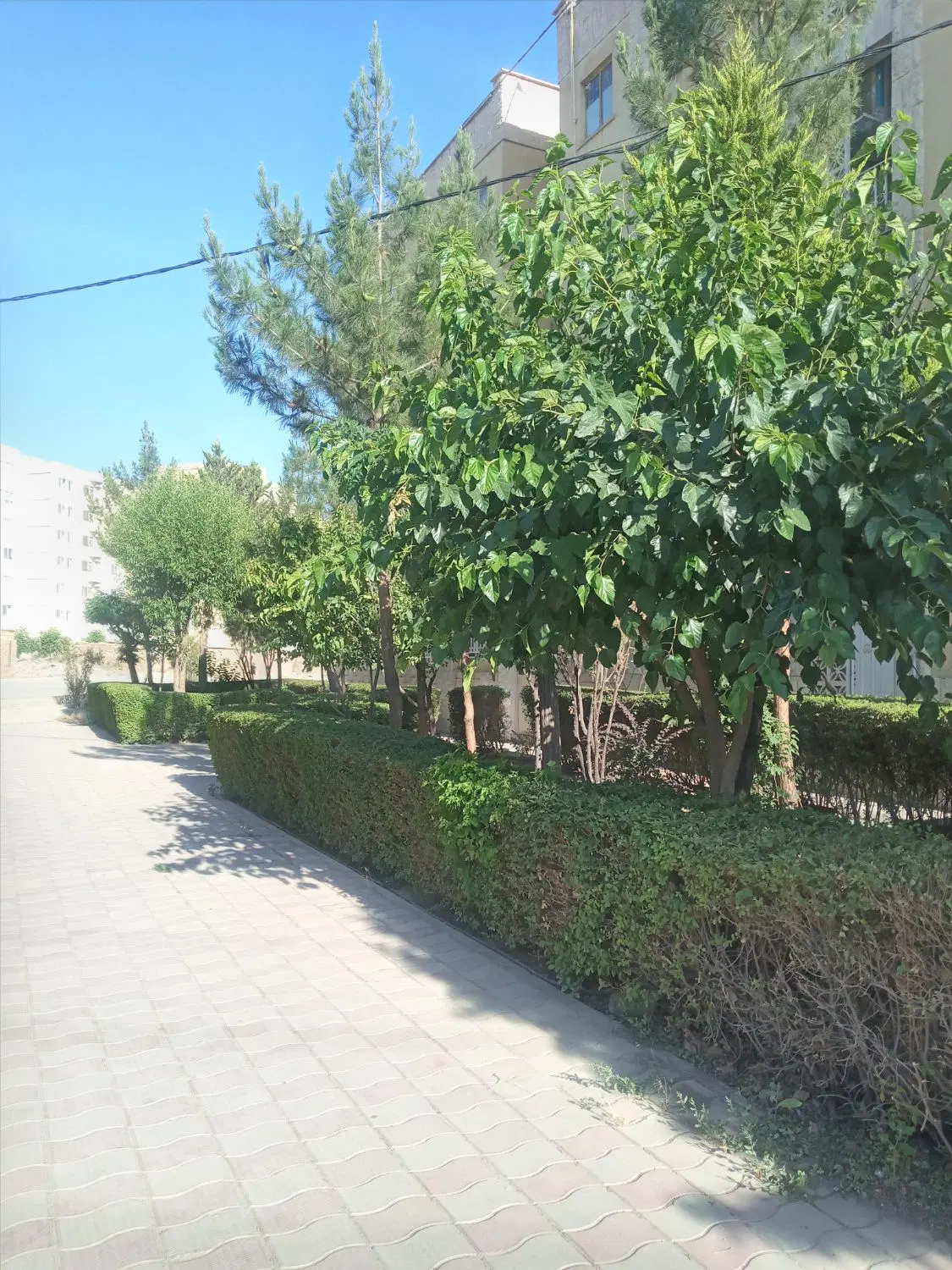 اپارتمان  ۵۰ متر  نقلی شهرک لاله