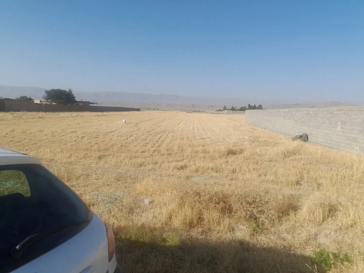 زمین کشاورزی