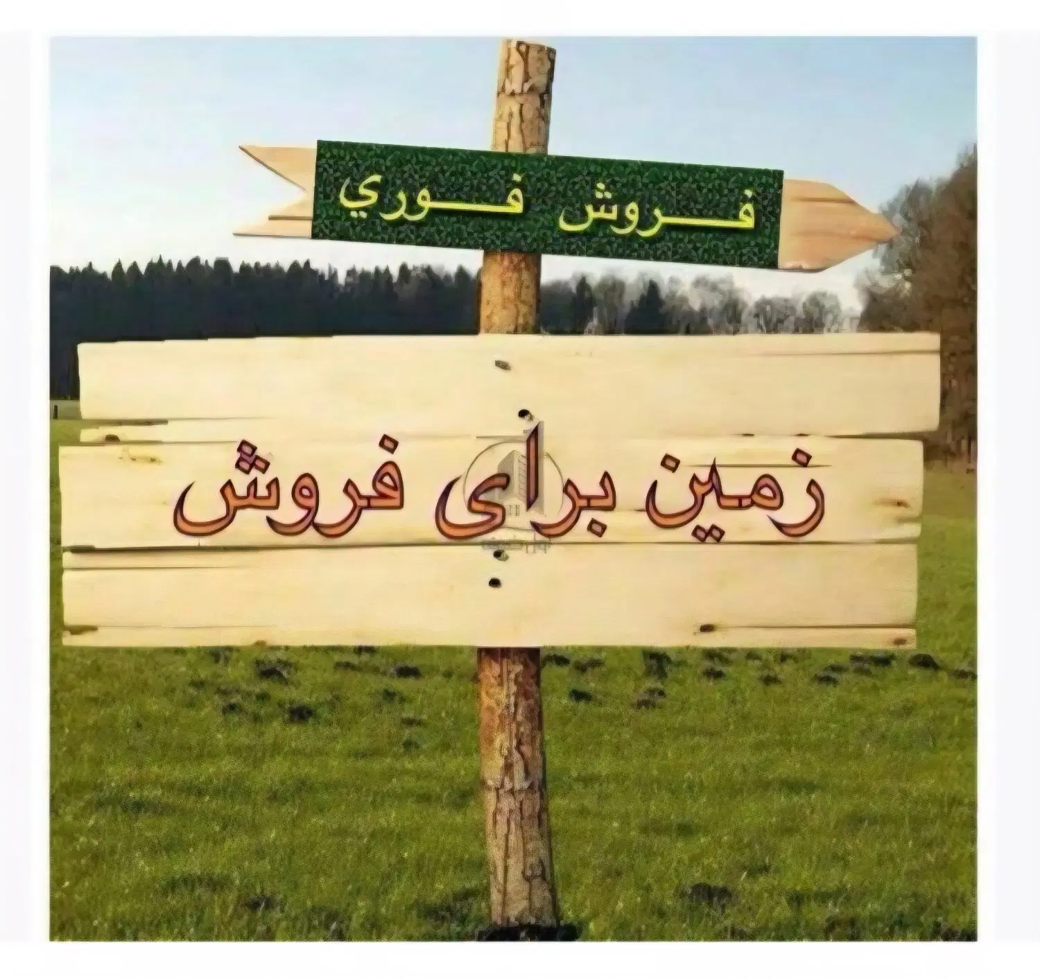زمین دانشگاه ۲۲