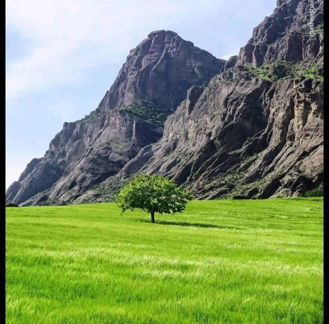 زمین گلمان دادگستری