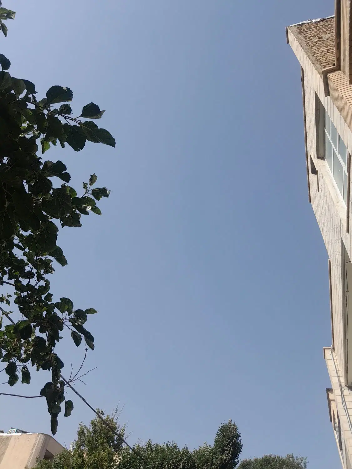 اجاره کارگاه چهار دیواری با انشعابات
