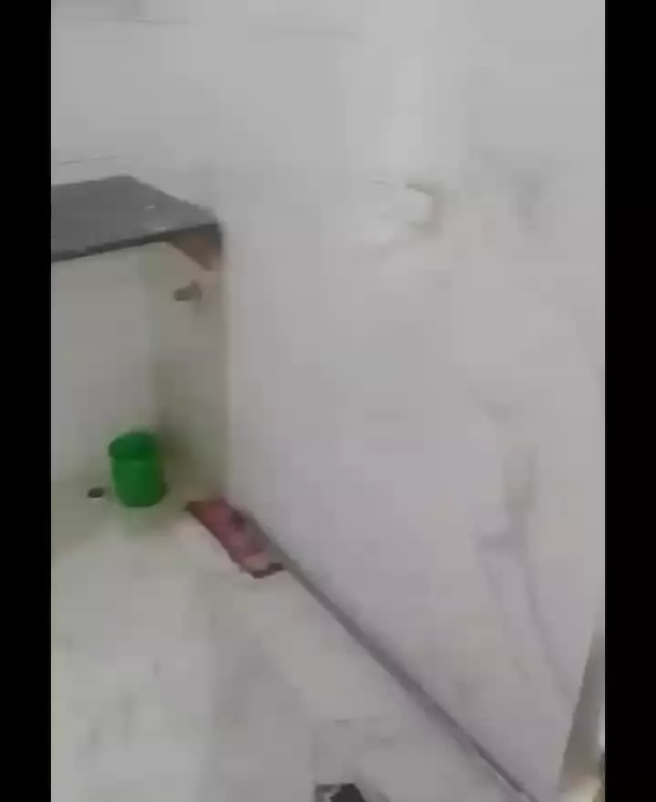 اجاره اپارتمان