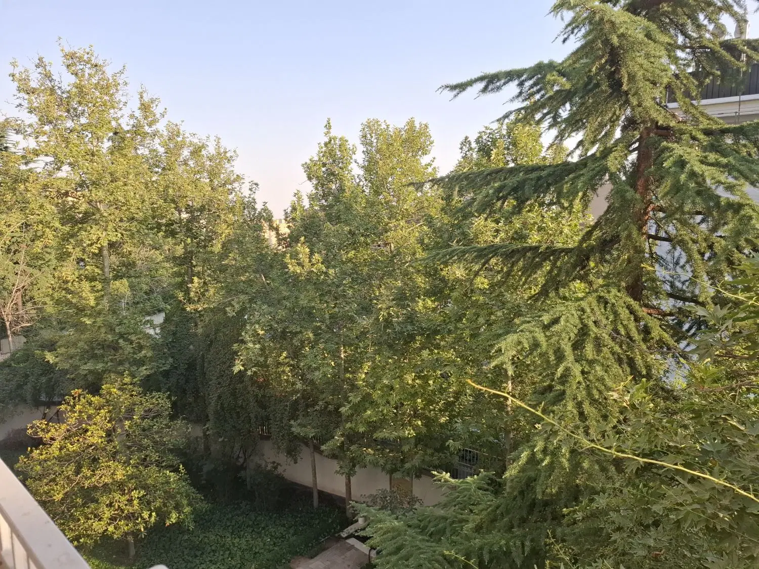 ۶۰متر نیاوران