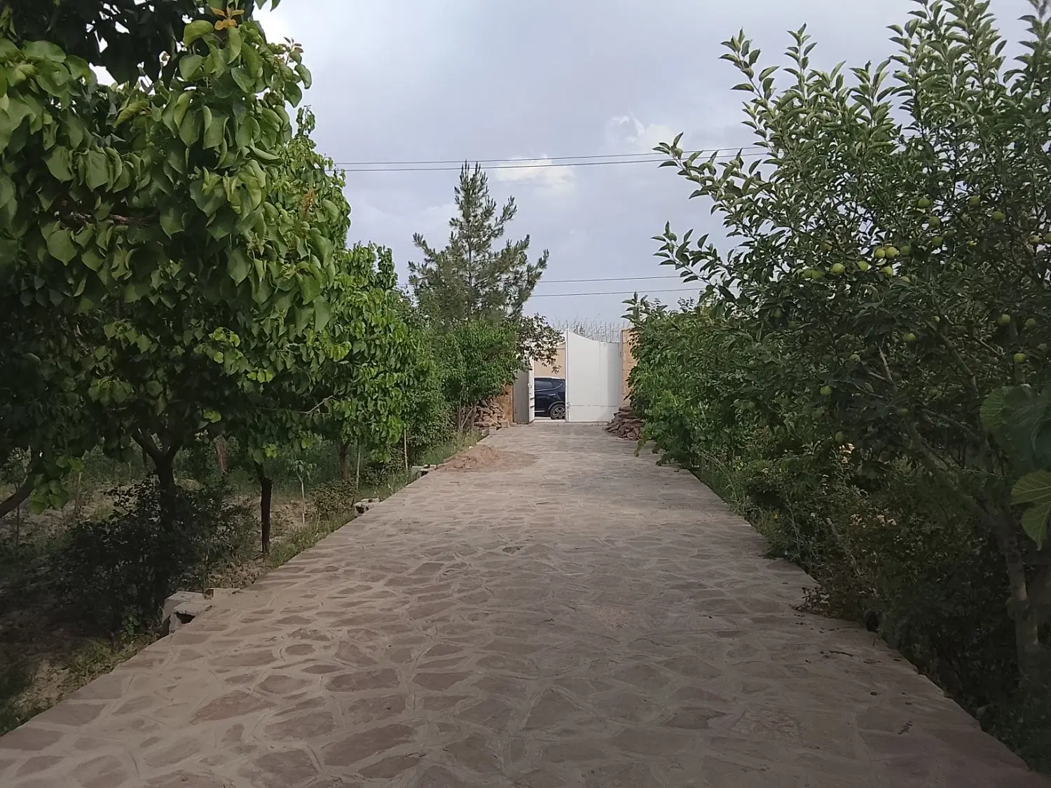 ویلاهزارمتر خیابان بوستان بازمرگان عسگریه