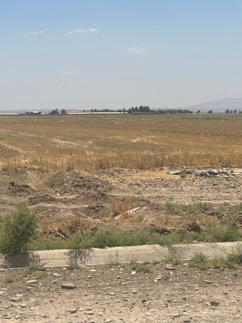 زمین کشاورزی گلخانه ای ۵۰ هزار متری بر آسفالت