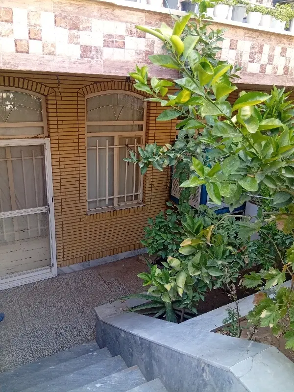 زیرزمین گلخانه‌ای تمیز کوچه باسکول کارگر