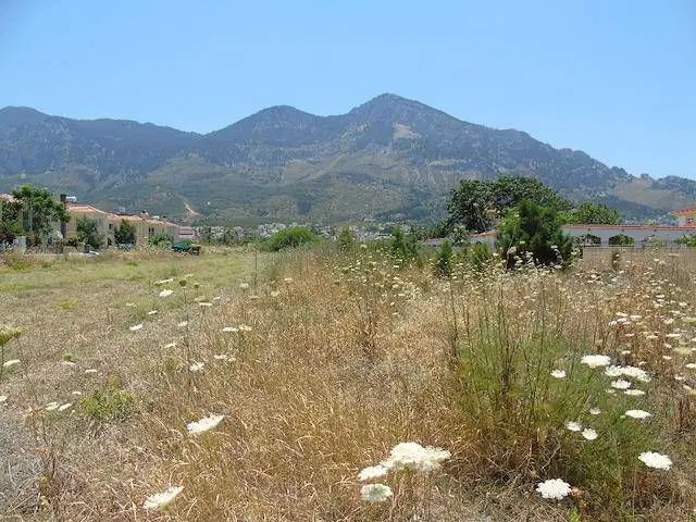 زمین مسکونی شهرک آزادی