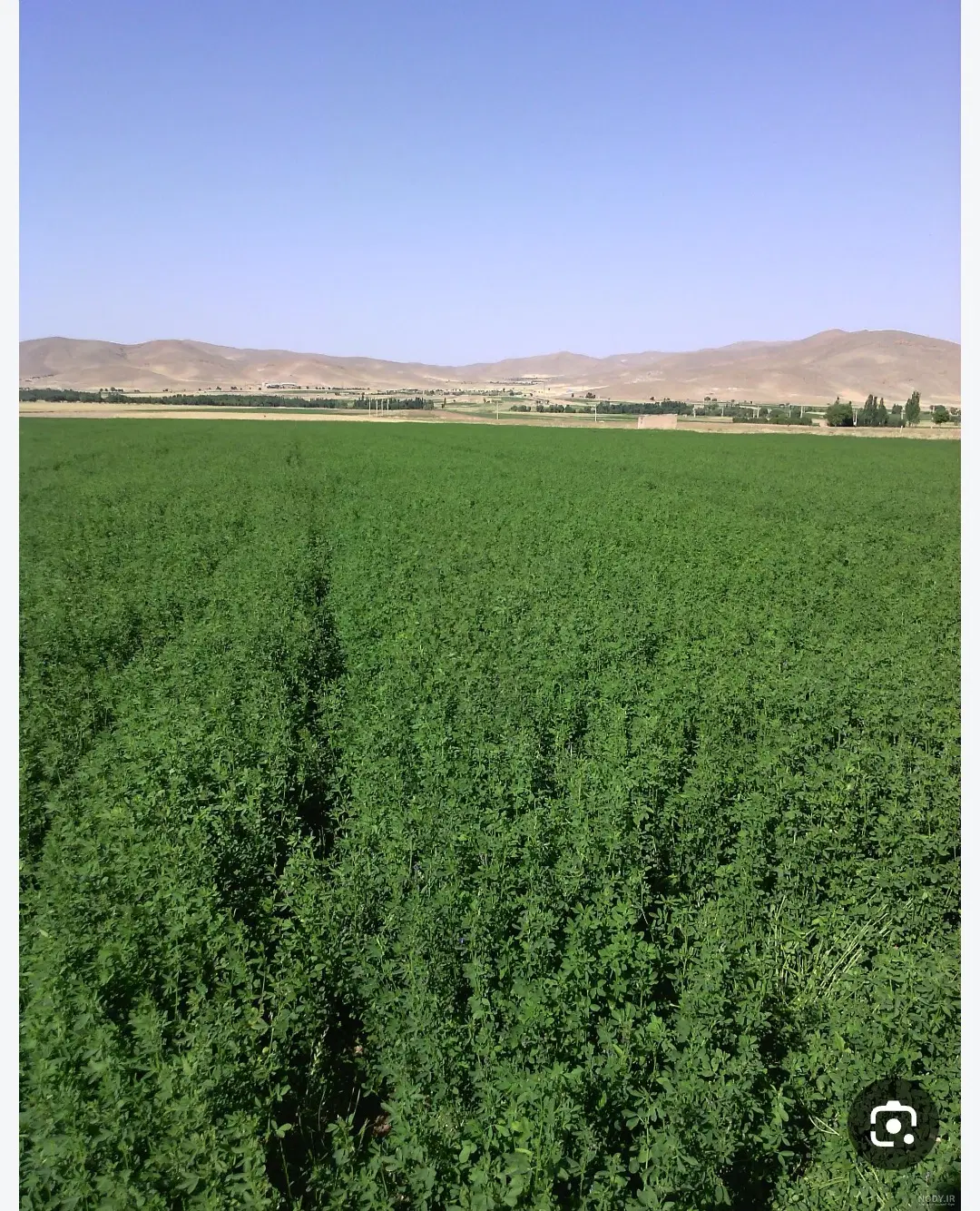 زمین کشاورزی