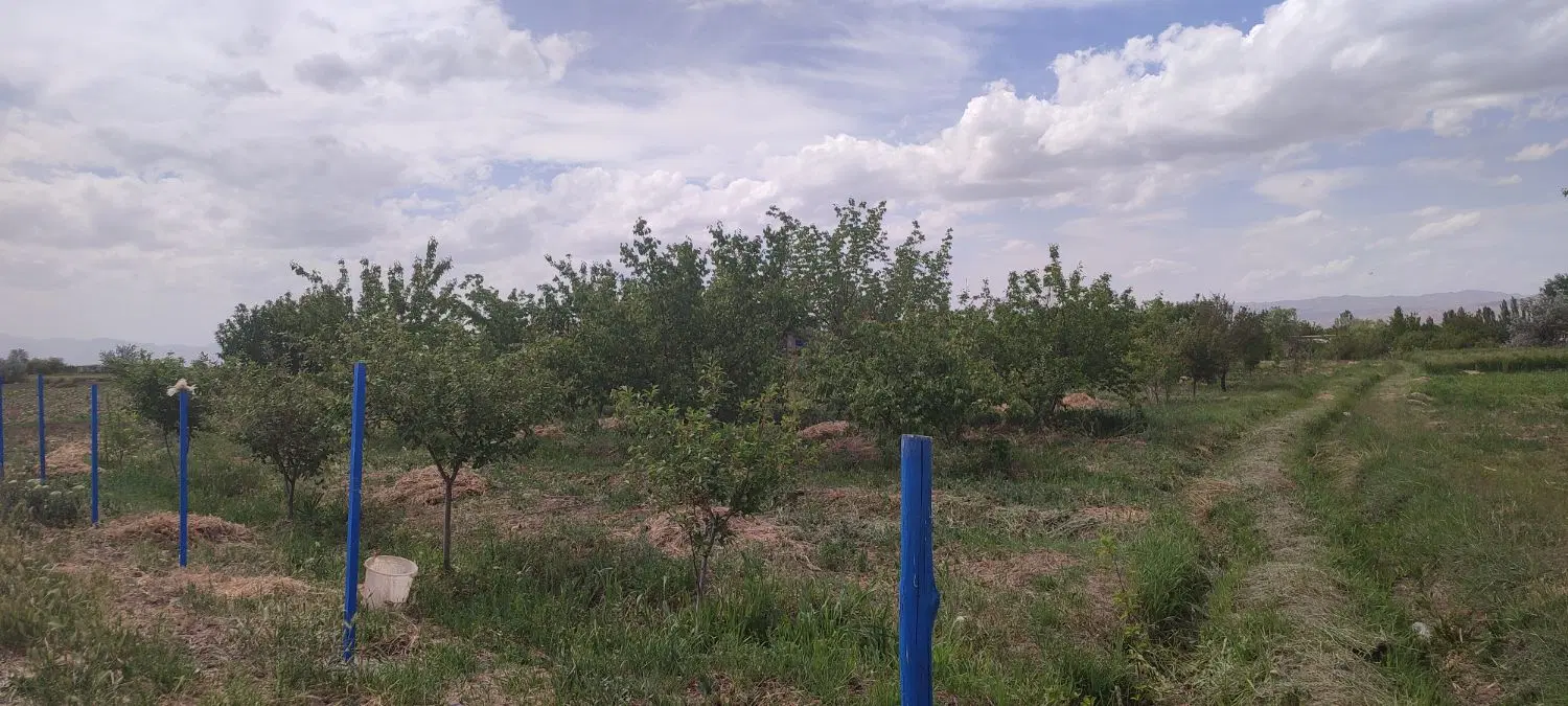 فروش باغ با حق آب در مرند روستای فارفار