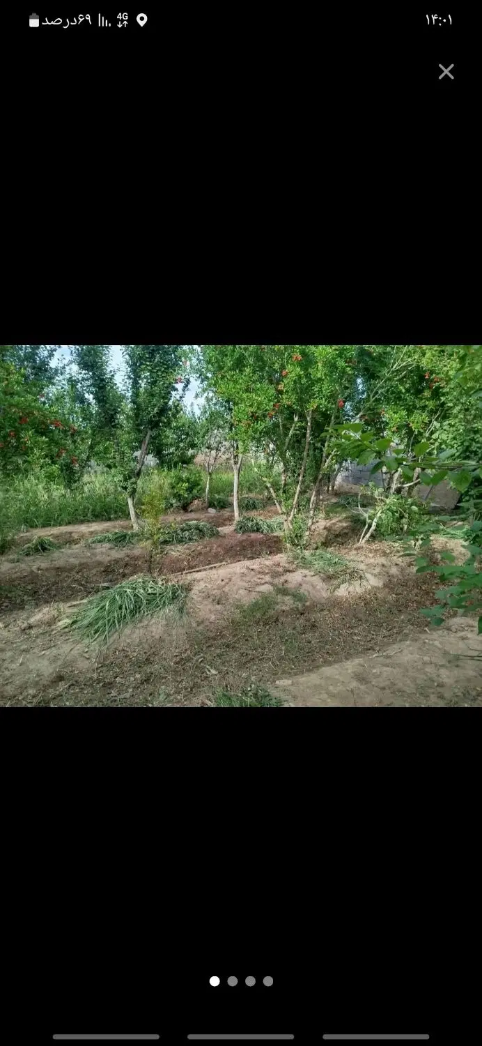 زمین باغ