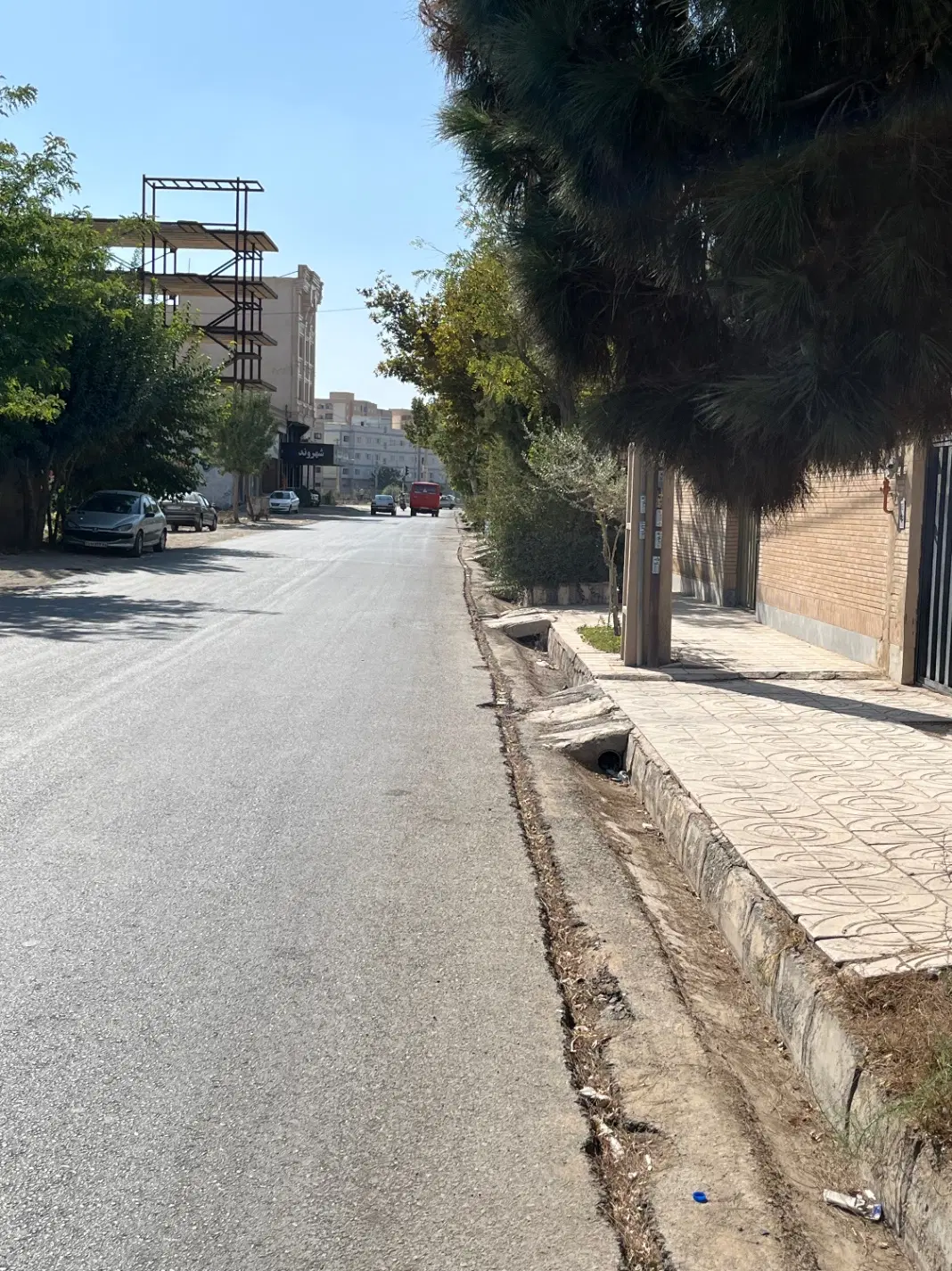 زمین تکبرگ سند  رو به پیشرفت