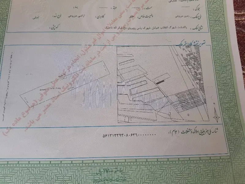 زمین کشاورزی