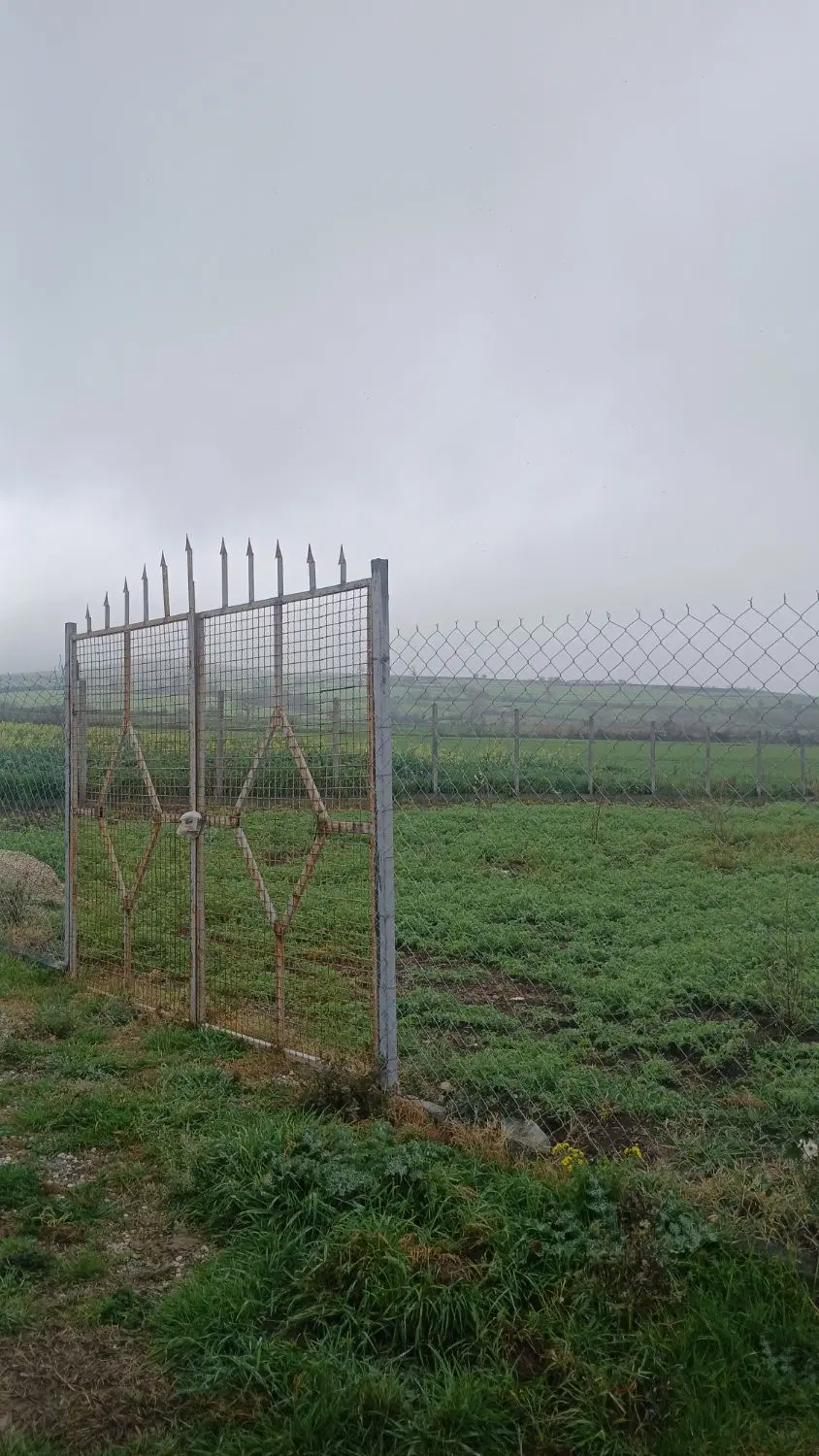 فروش زمین باغی در روستای شموشک
