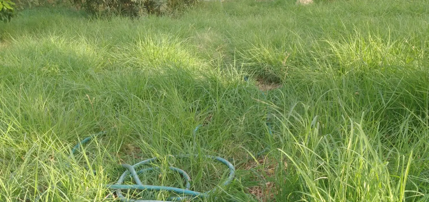 زمین مسکونی ۲۰۰متری