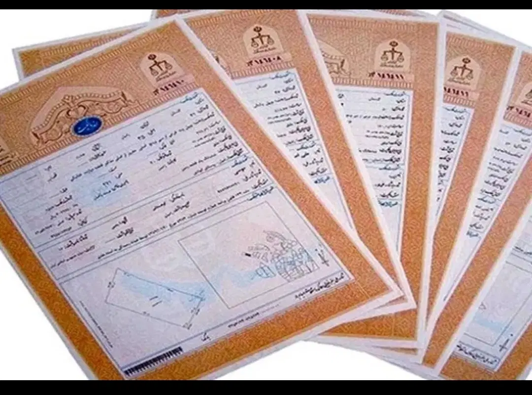 زمین تک برگ