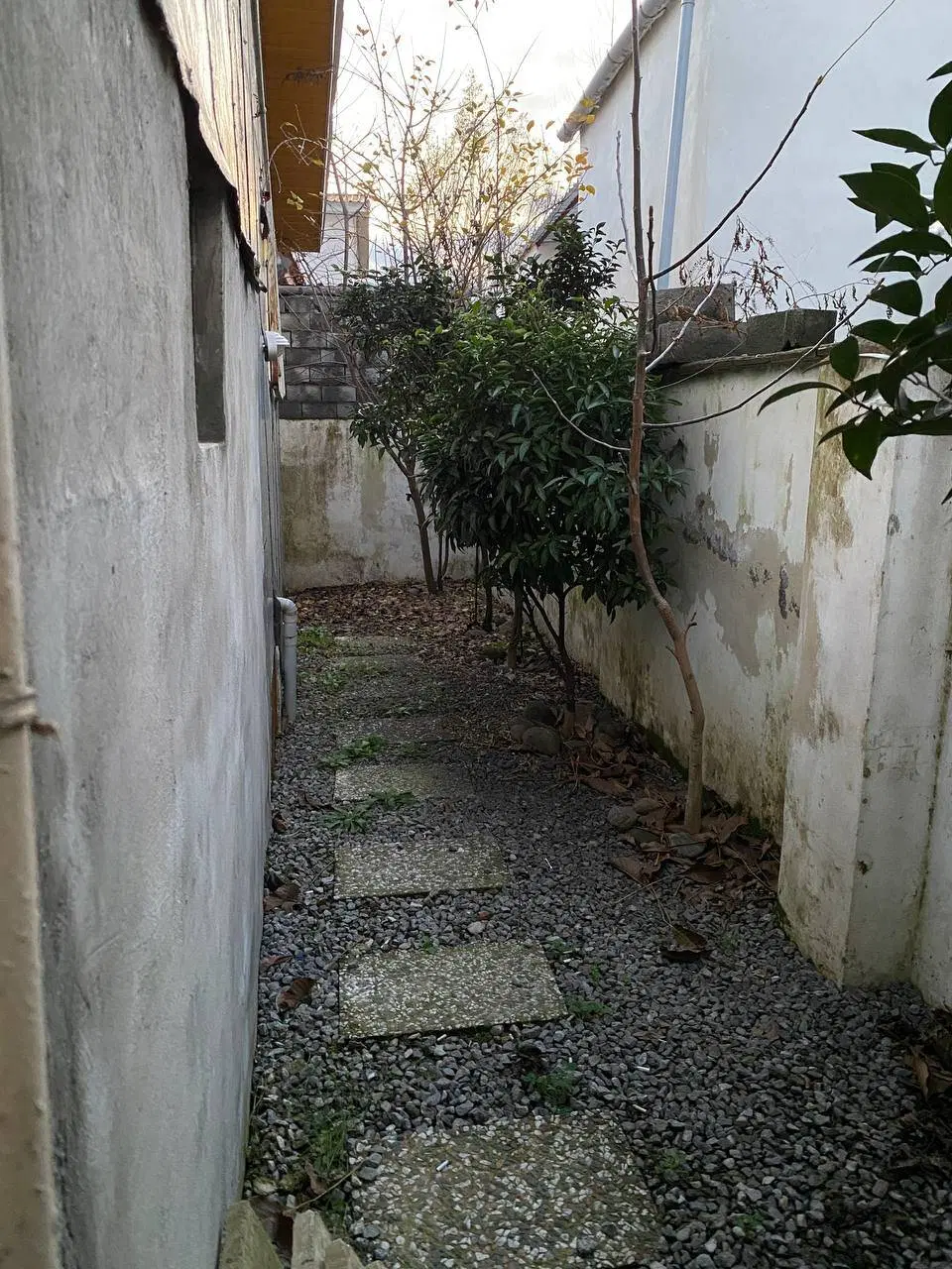 ۲۳۰ متر کلوده نیم پلوت