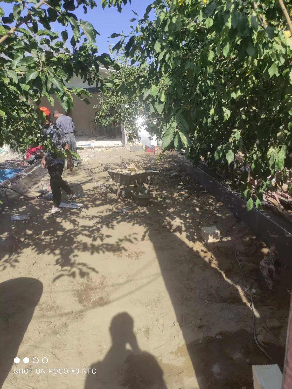 فروش زمین کشاورزی در روستای محمود آباد