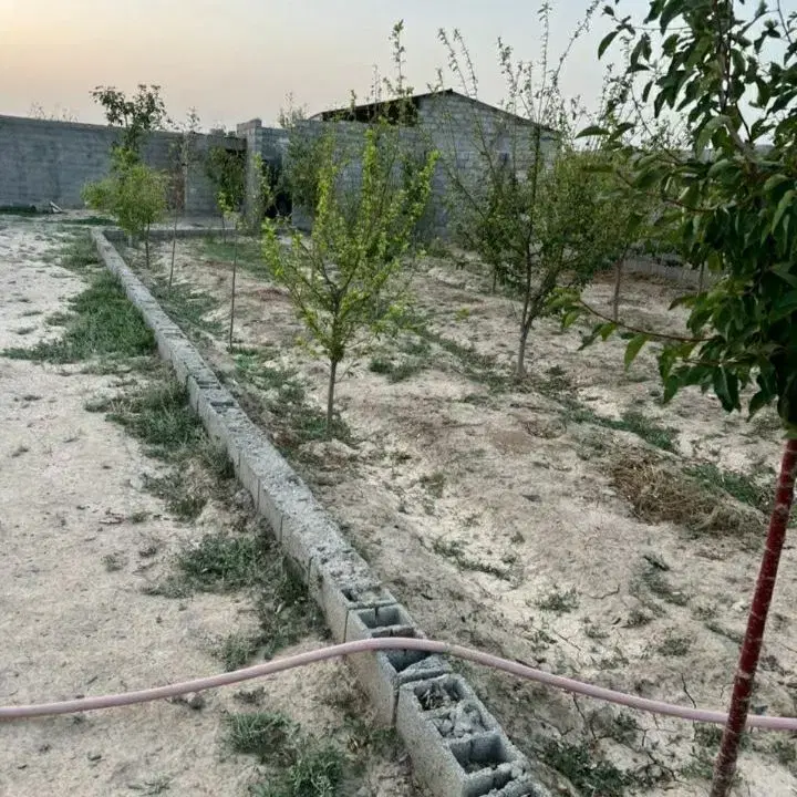 خریدمیکنی واسه تفریح و سرمایه‌گذاری مخصوص خانواده