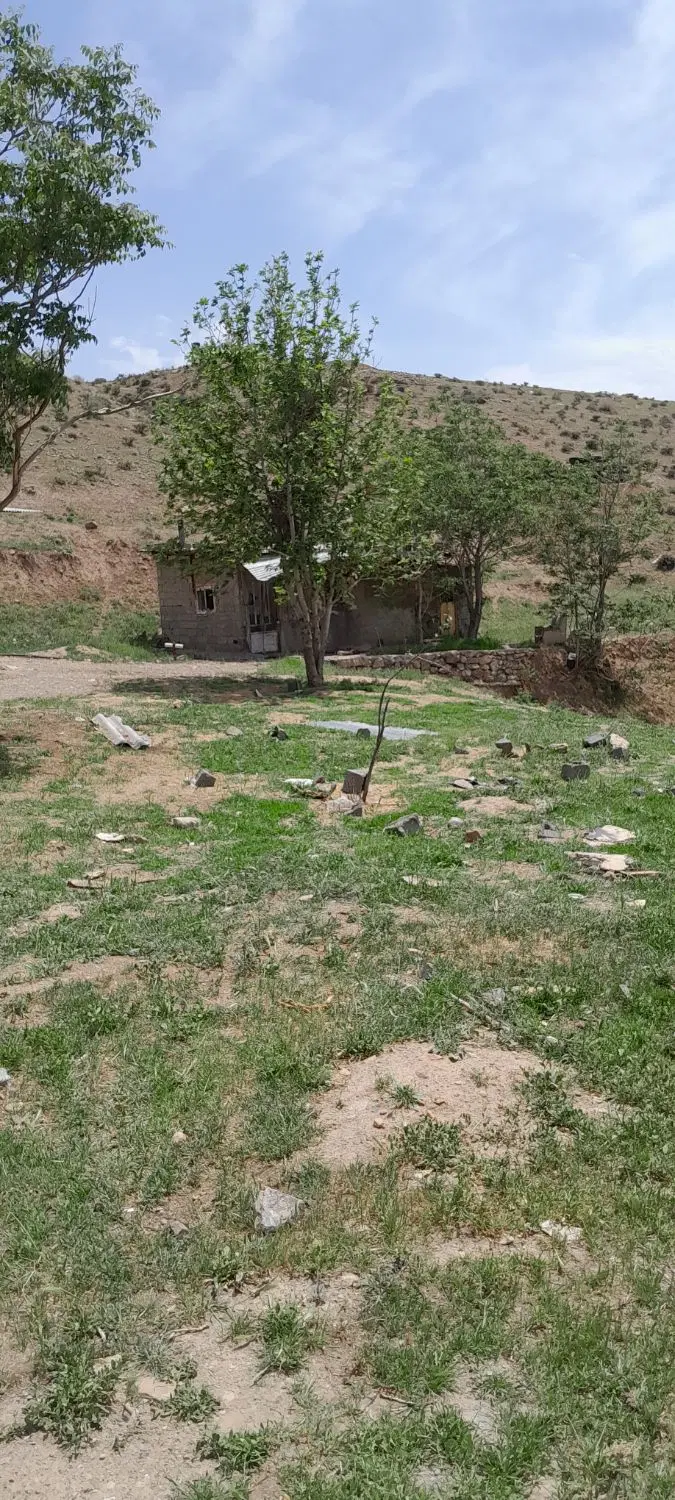 سالن سوله دامداری،گاوداری،مرغداری، پرورش سگ