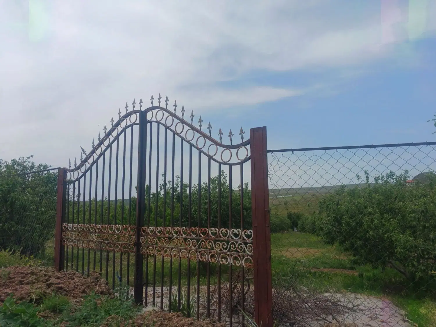 فروش باغ و یک باب مغازه