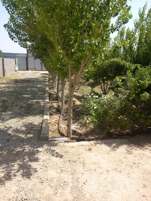 واگذاری جوجه کشی