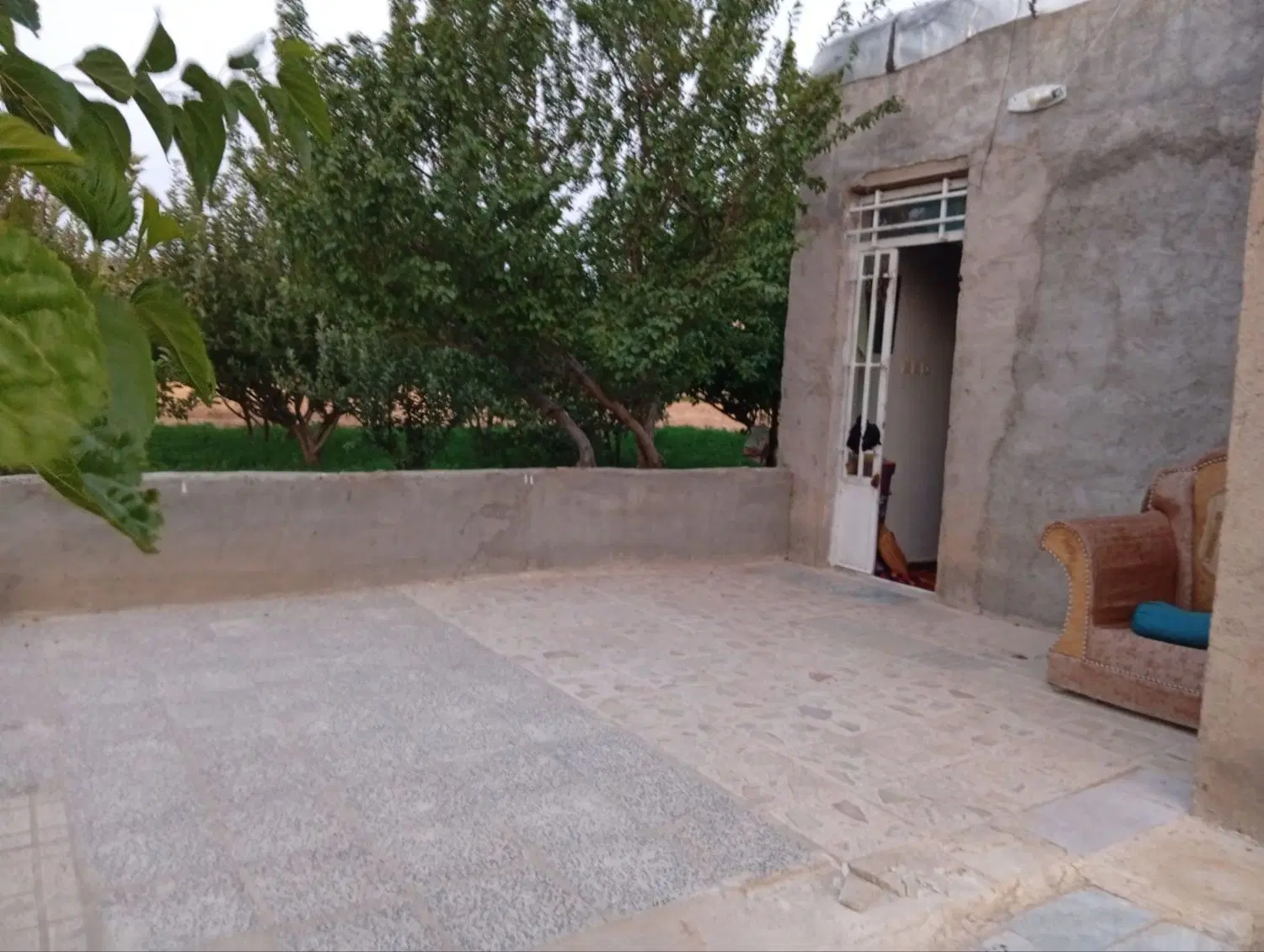 باغ در نقطه بندی