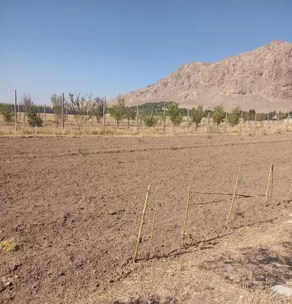 زمین1000متری پیر حیاتی