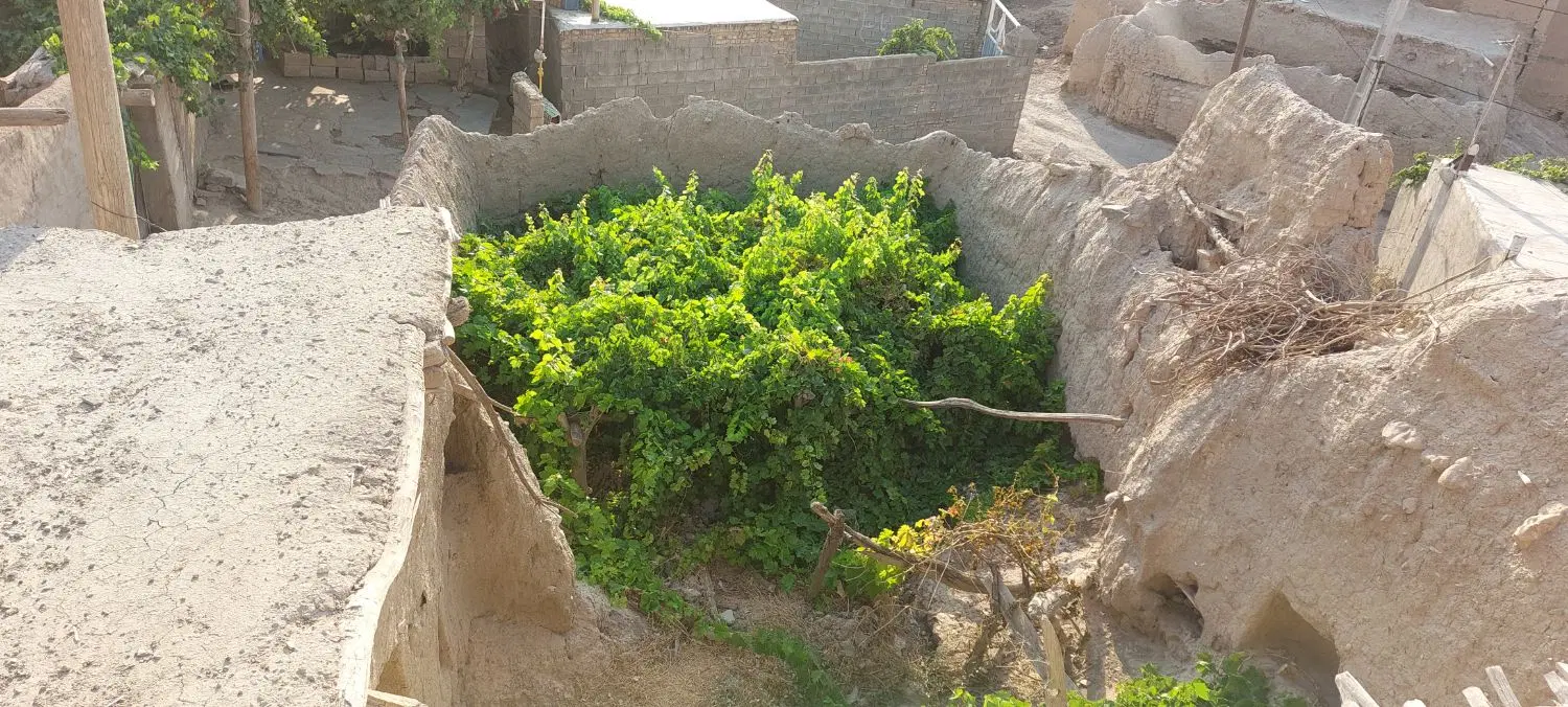 خانه روستایی با فضایی دلنشین بلندترین مکان روستا