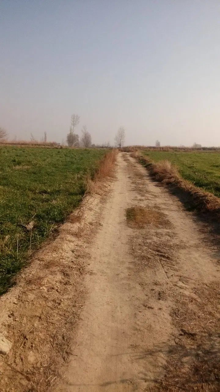 زمین کشاورزی
