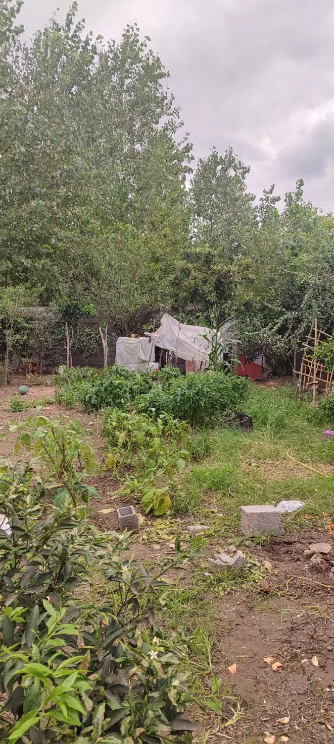 زمین مسکونی