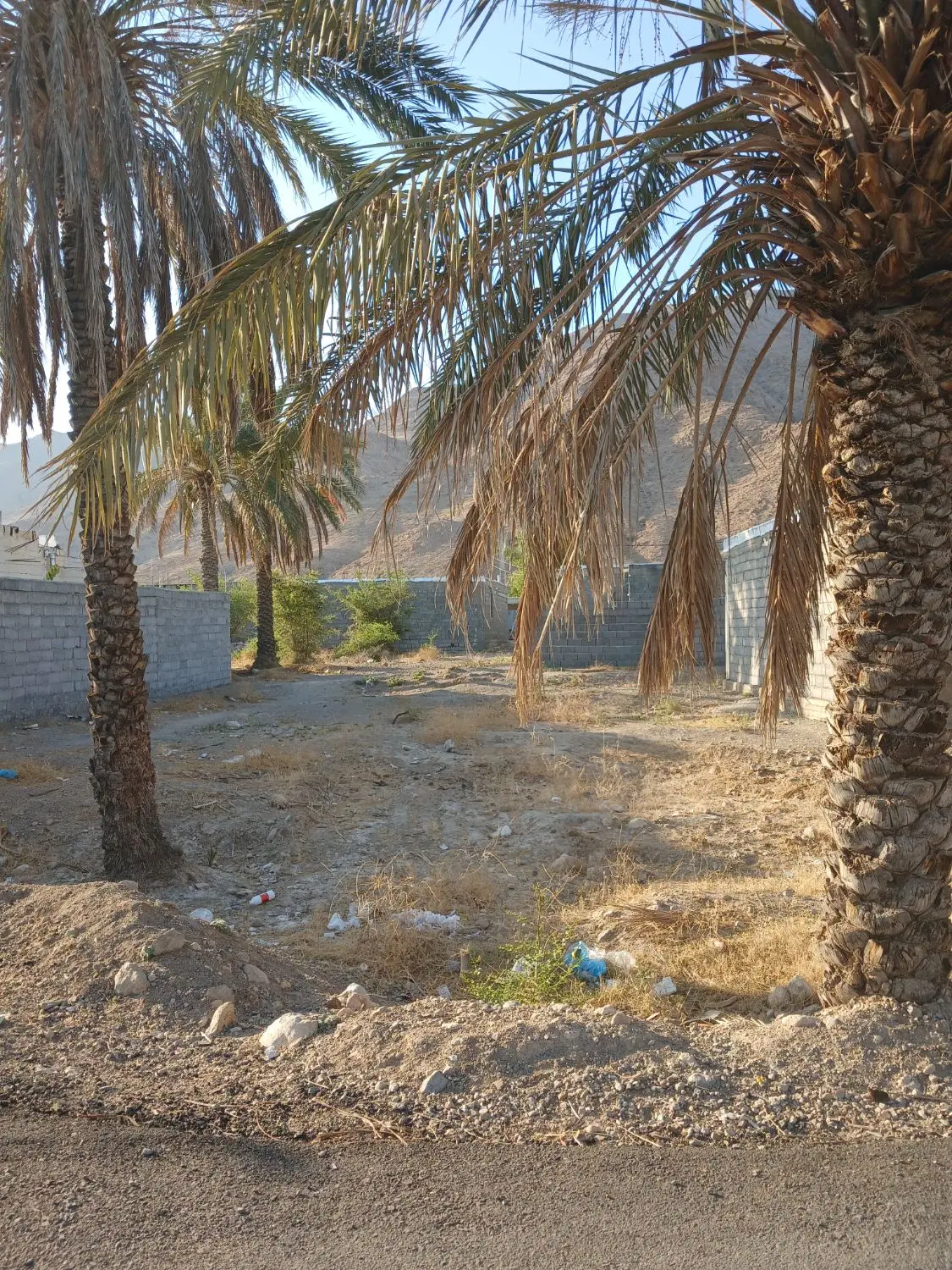 زمین در علی اباد متراژ ۳۲۰ متر