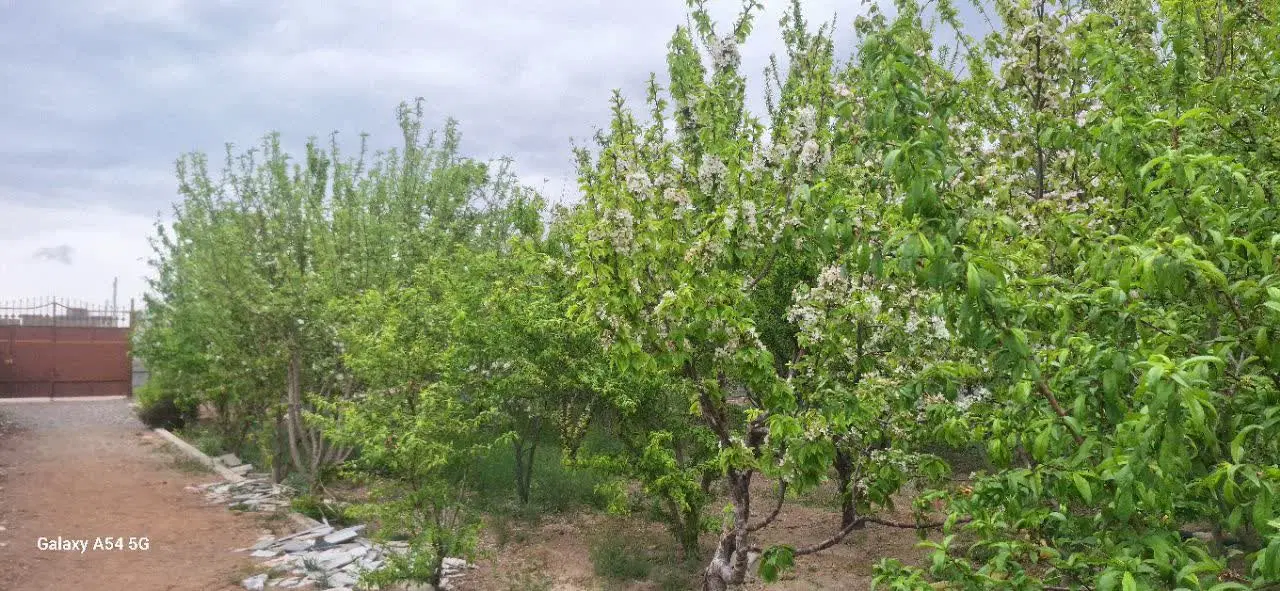 باغ با چاه مجوز دار سند رسمی با موقعیت عالی