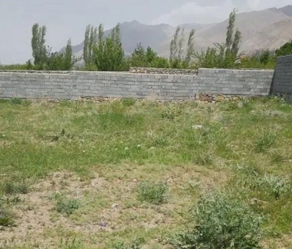 زمین