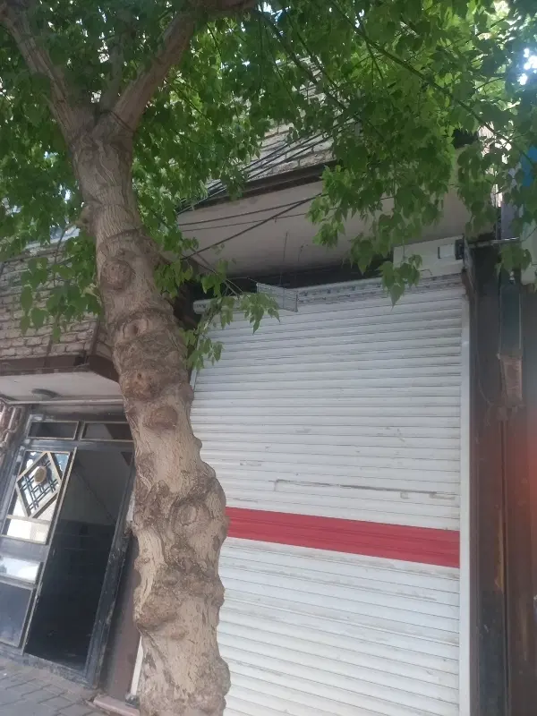 رهن یا اجاره