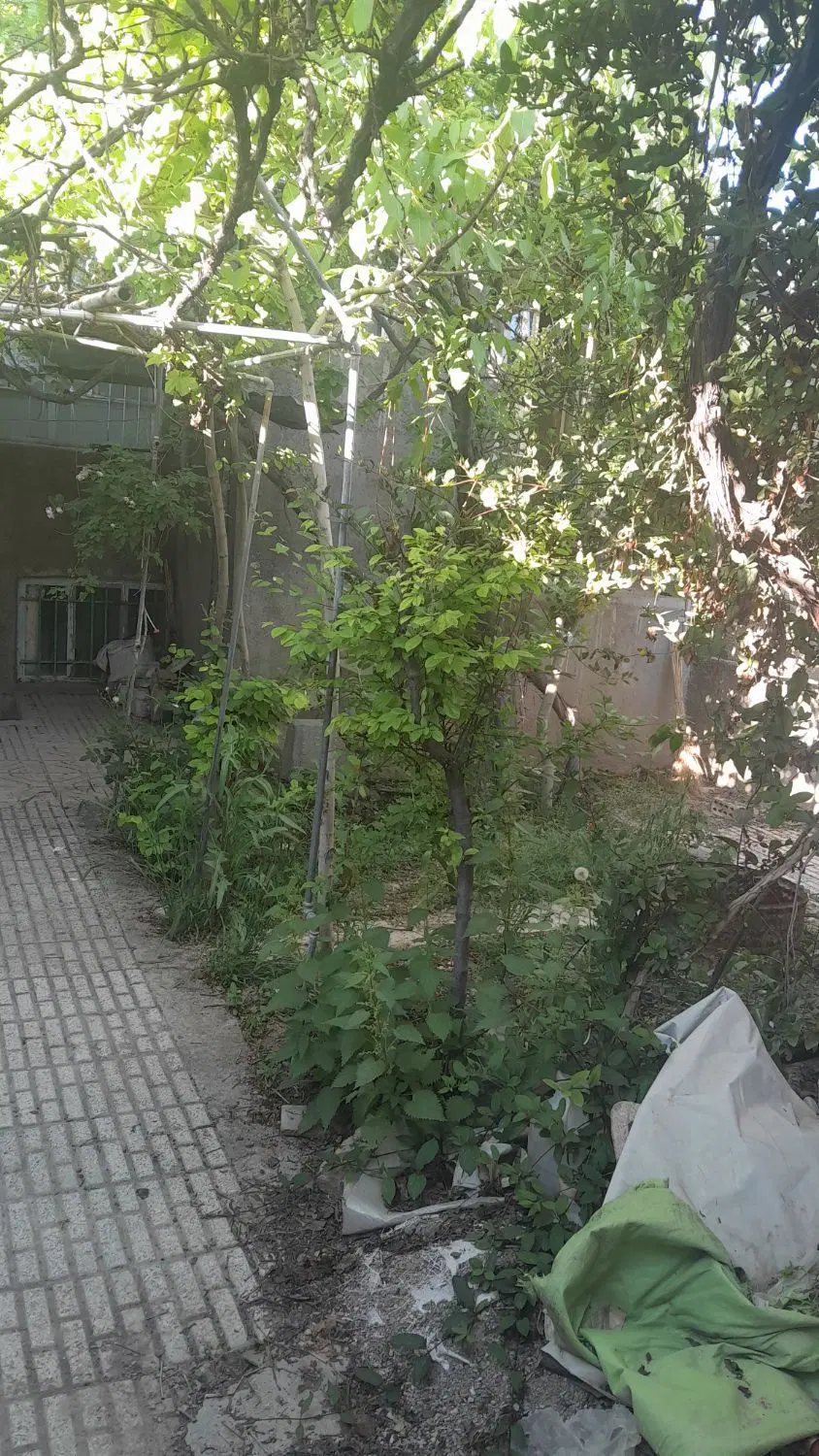 خانه ویلایی