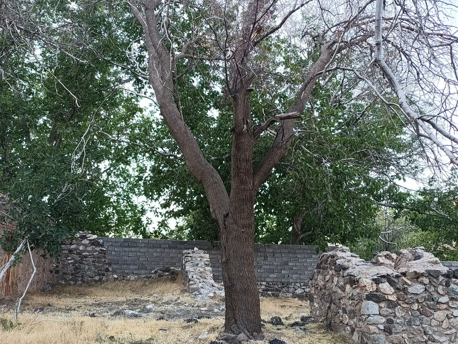 زمین جنب مسکن ملی
