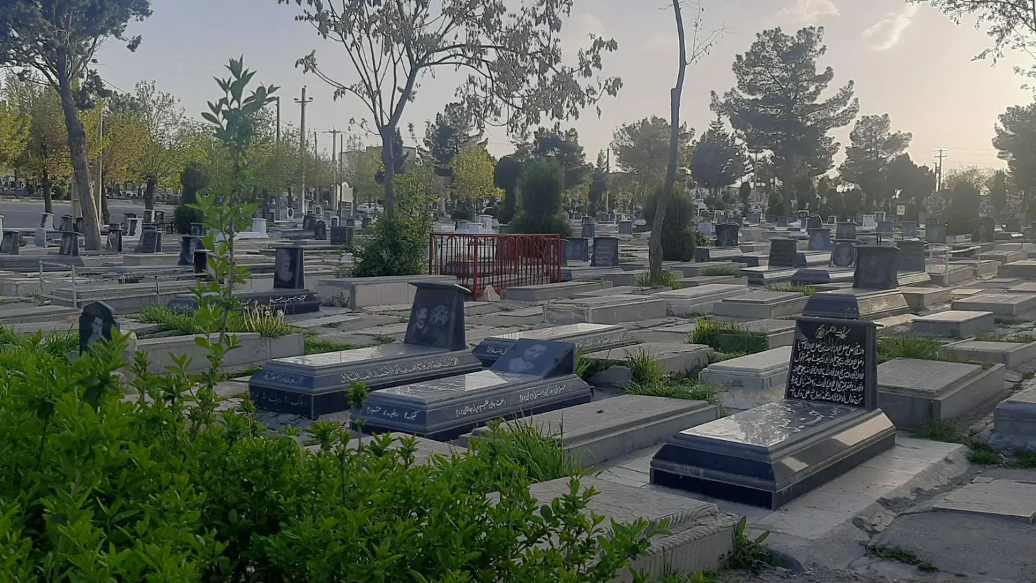 قبر در باغ فردوس