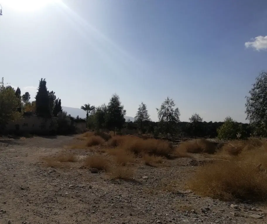 زمین مسکونی فاز ۲ صدرا